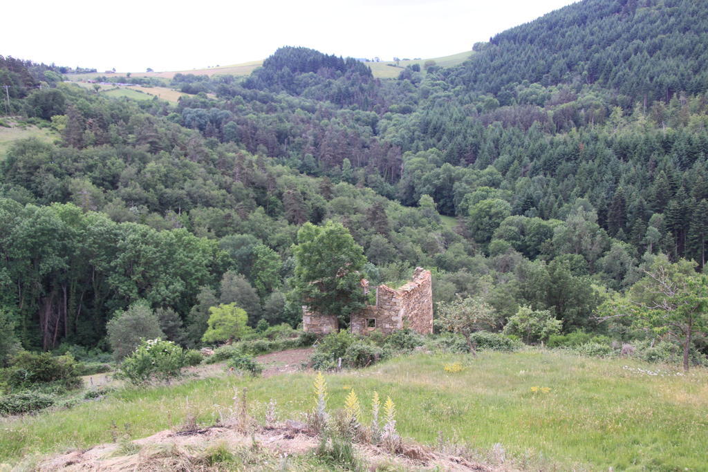 Gite Chez Coste Gilles Saint-Privat-du-Dragon Szoba fotó