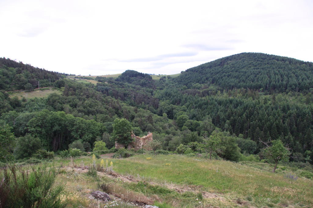 Gite Chez Coste Gilles Saint-Privat-du-Dragon Kültér fotó
